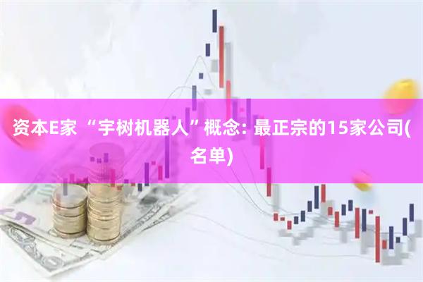 资本E家 “宇树机器人”概念: 最正宗的15家公司(名单)