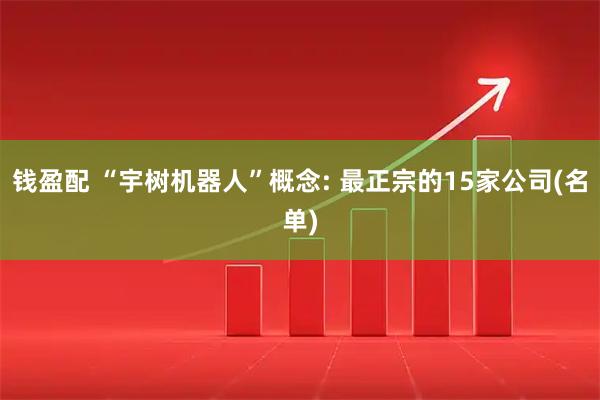 钱盈配 “宇树机器人”概念: 最正宗的15家公司(名单)