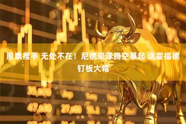 股票推手 无处不在！尼德豪泽腾空暴起 送霍福德钉板大帽