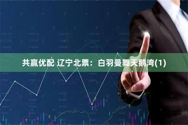 共赢优配 辽宁北票：白羽曼舞天鹅湾(1)