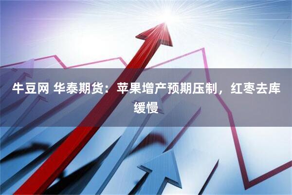 牛豆网 华泰期货：苹果增产预期压制，红枣去库缓慢