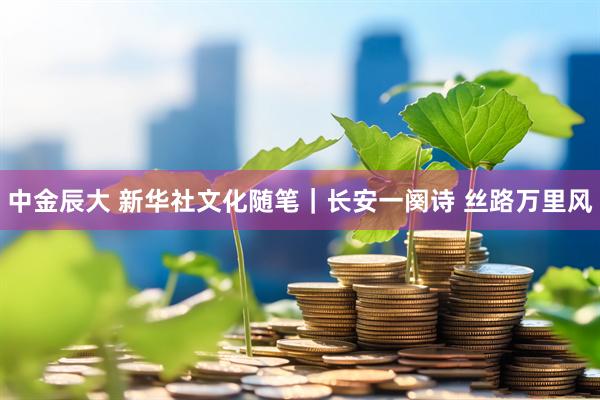 中金辰大 新华社文化随笔｜长安一阕诗 丝路万里风