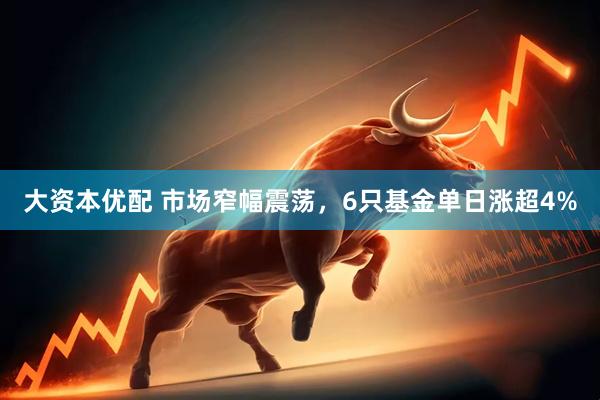 大资本优配 市场窄幅震荡，6只基金单日涨超4%