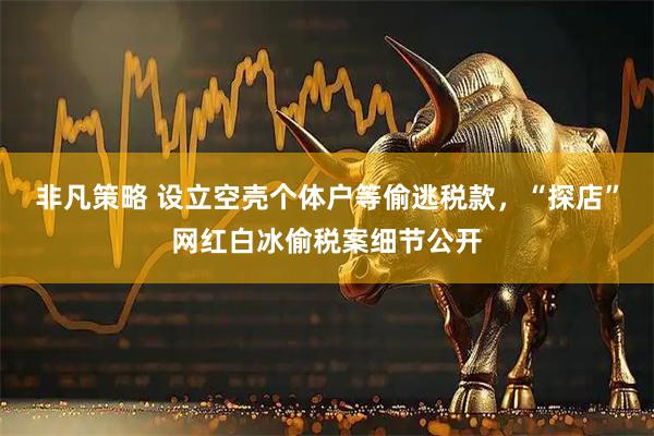 非凡策略 设立空壳个体户等偷逃税款，“探店”网红白冰偷税案细节公开